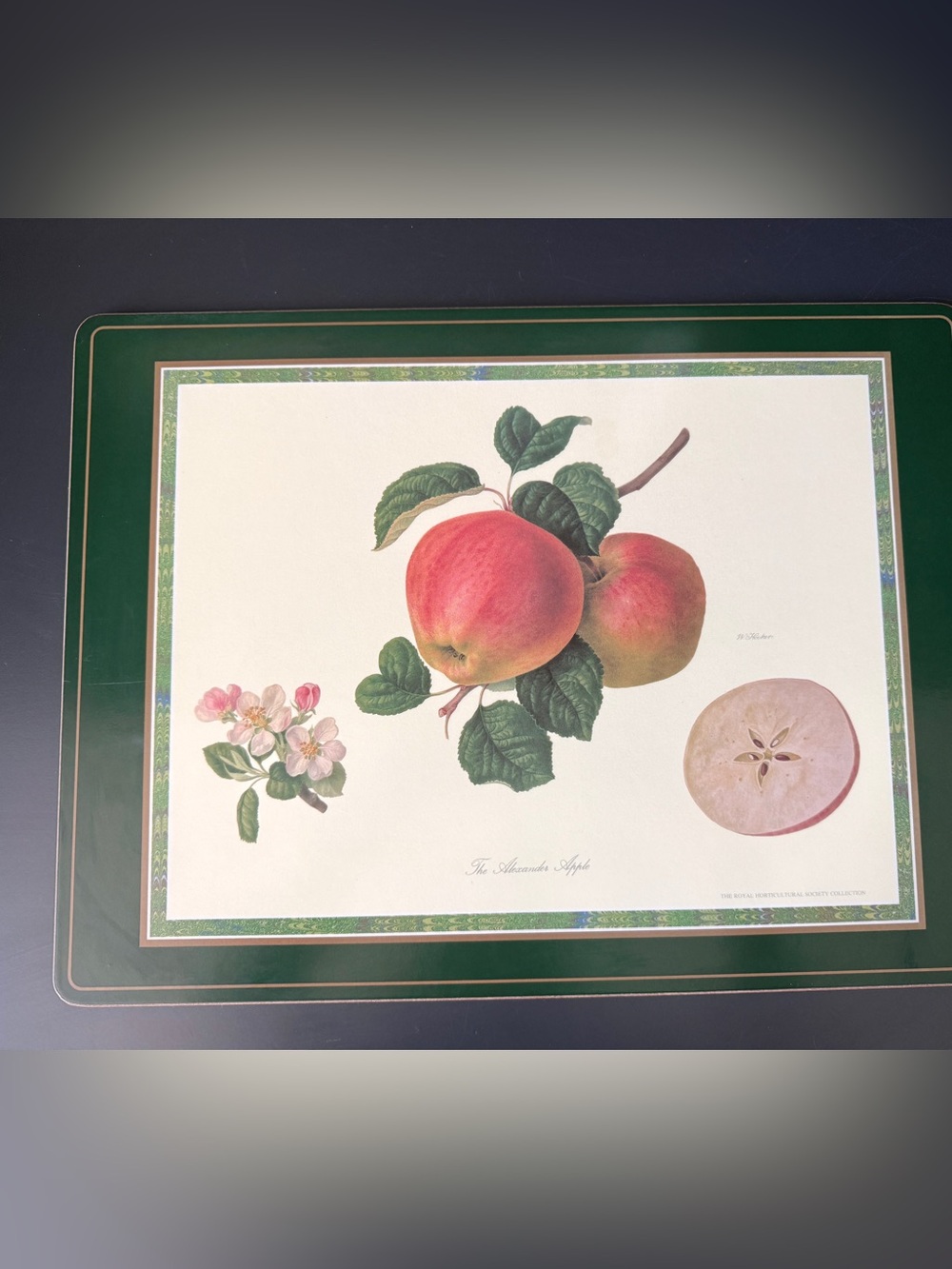 Pimpernel RHS Collection Cork Placemats Set 4 Botanical Fruit Hooker - Picture 6 of 8